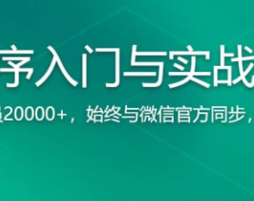 微信小程序入门与实战（全新版） 超20000人学习的好课