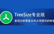 [阿里云盘]TreeSize Pro v9.1.0.1868 绿色版 磁盘空间管理工具[免费下载][夸克网盘][电脑软件]