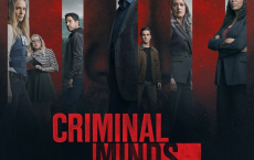犯罪心理：演变 第十七季 Criminal Minds: Evolution Season 17 (2024) 【更新08】【Disney+版本 4K/HDR】